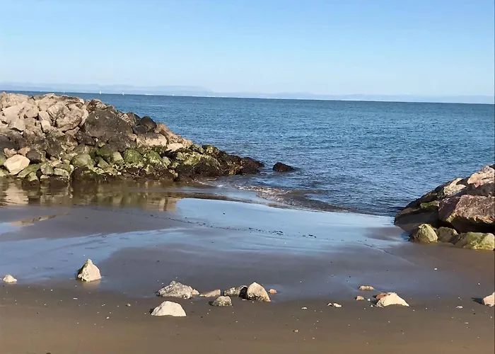 In 38368 Бібіоне